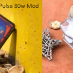 Comparison between Pulse 80w mod and Pulse x kit